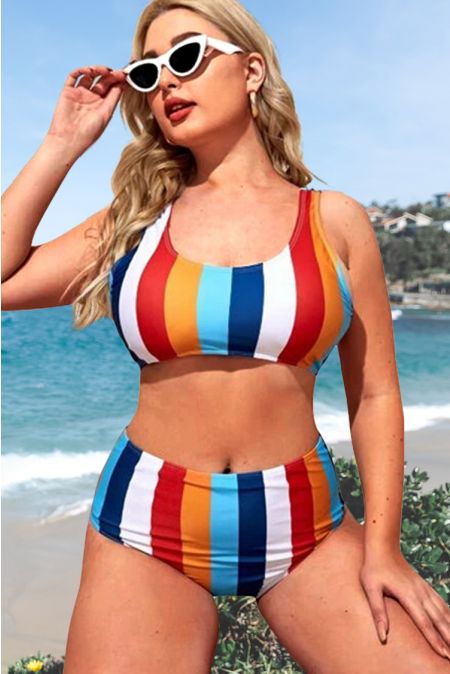 Kamoni Striped Plus Size Bikini